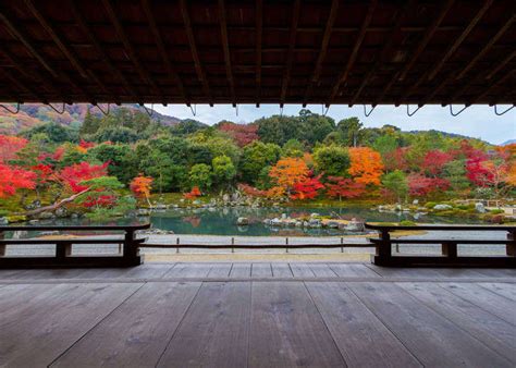 天竺山金龍寺|[保存版]京都天龍寺攻略：交通方式、參拜時間、入場費、寺內景。